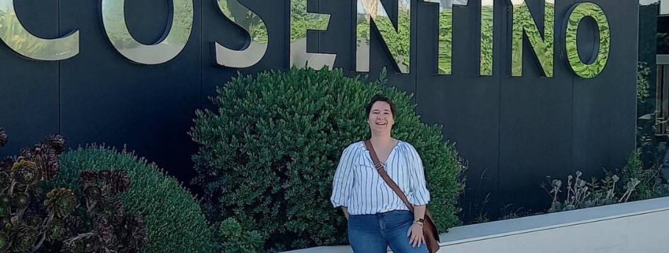 Visite Cosentino